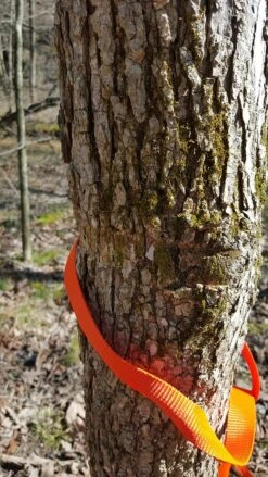 Tentsile Flite Tree Tent -Outdoor Camping Sales 13