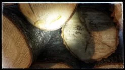 Ledlenser MT10 -Outdoor Camping Sales 20171119 153533 01