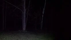 Ledlenser MT10 -Outdoor Camping Sales 20171130 205734