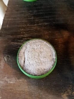 Trail Designs Kojin Stove -Outdoor Camping Sales 20180908 143223