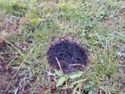 Patagonia Wood Burning Stove -Outdoor Camping Sales 20200613 060553