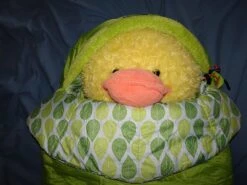 NEMO Punk 20 -Outdoor Camping Sales DSC04125a