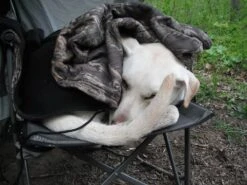 ALPS Mountaineering Lightweight Series Self Inflating Air Pads -Outdoor Camping Sales DSCF0020