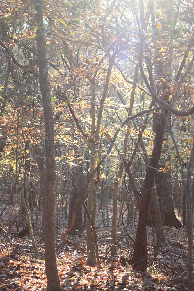 Granite Gear Vapor Current Airbeam Frame 12 Granite Gear Vapor Current Airbeam Frame - Image 10