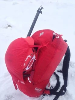 Black Diamond Halo 28 JetForce Avalanche Airbag Pack -Outdoor Camping Sales IMG 2605