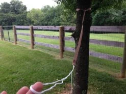 Hummingbird Hammocks Tree Straps 10 Hummingbird Hammocks Tree Straps -Outdoor Camping Sales IMG 3946 1