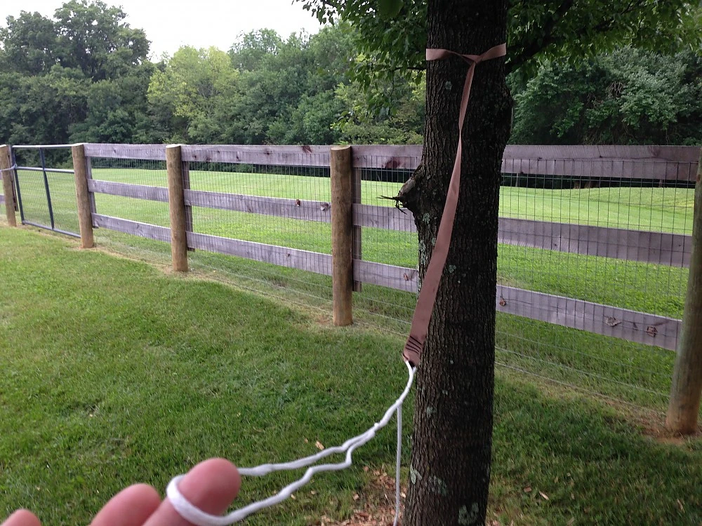 Hummingbird Hammocks Tree Straps 6 Hummingbird Hammocks Tree Straps - Image 4