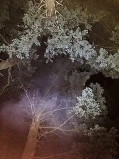 Ledlenser MT10 -Outdoor Camping Sales LEDlenser 6 of 6