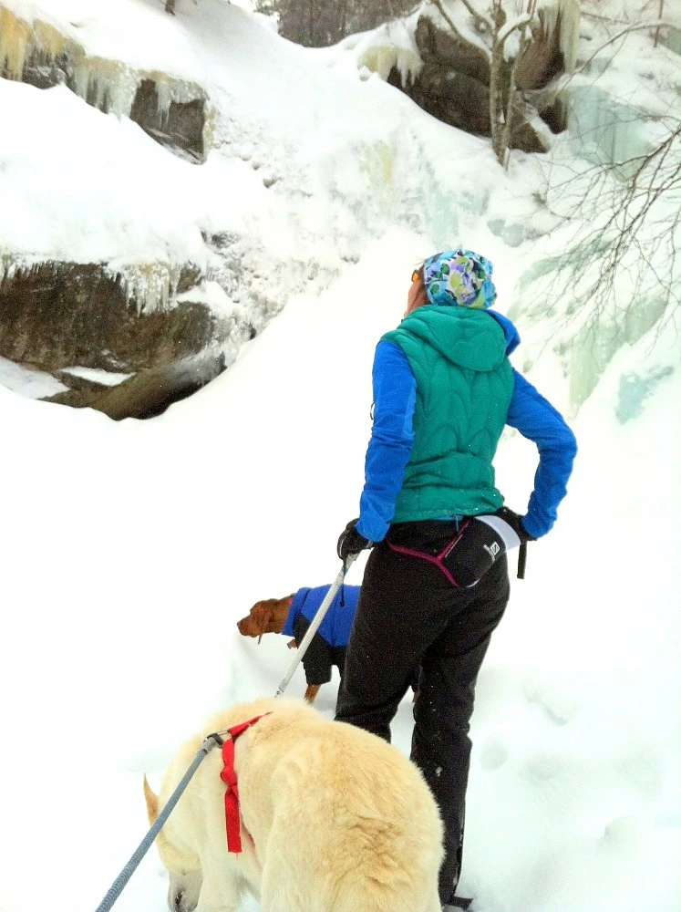 Salomon Active Insulated Belt 7 Salomon Active Insulated Belt - Image 5