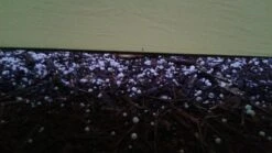 Easton Rimrock 1 -Outdoor Camping Sales hail