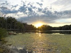 MSR Guardian Purifier -Outdoor Camping Sales msr13 easyHDR